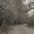 171210-PK-sneeuwval in Heeswijk- 8 